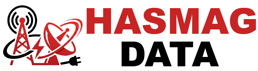 HASMAG Data Logo